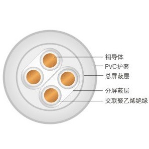 DJYV、DJYVR聚氯烯絕緣聚氯乙烯護(hù)套電子計(jì)算機(jī)電纜